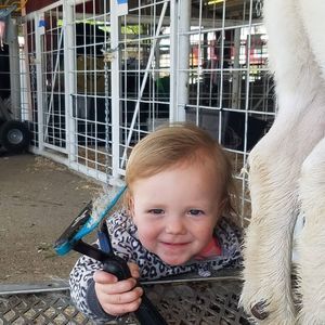 Meet your Posher, Tansy